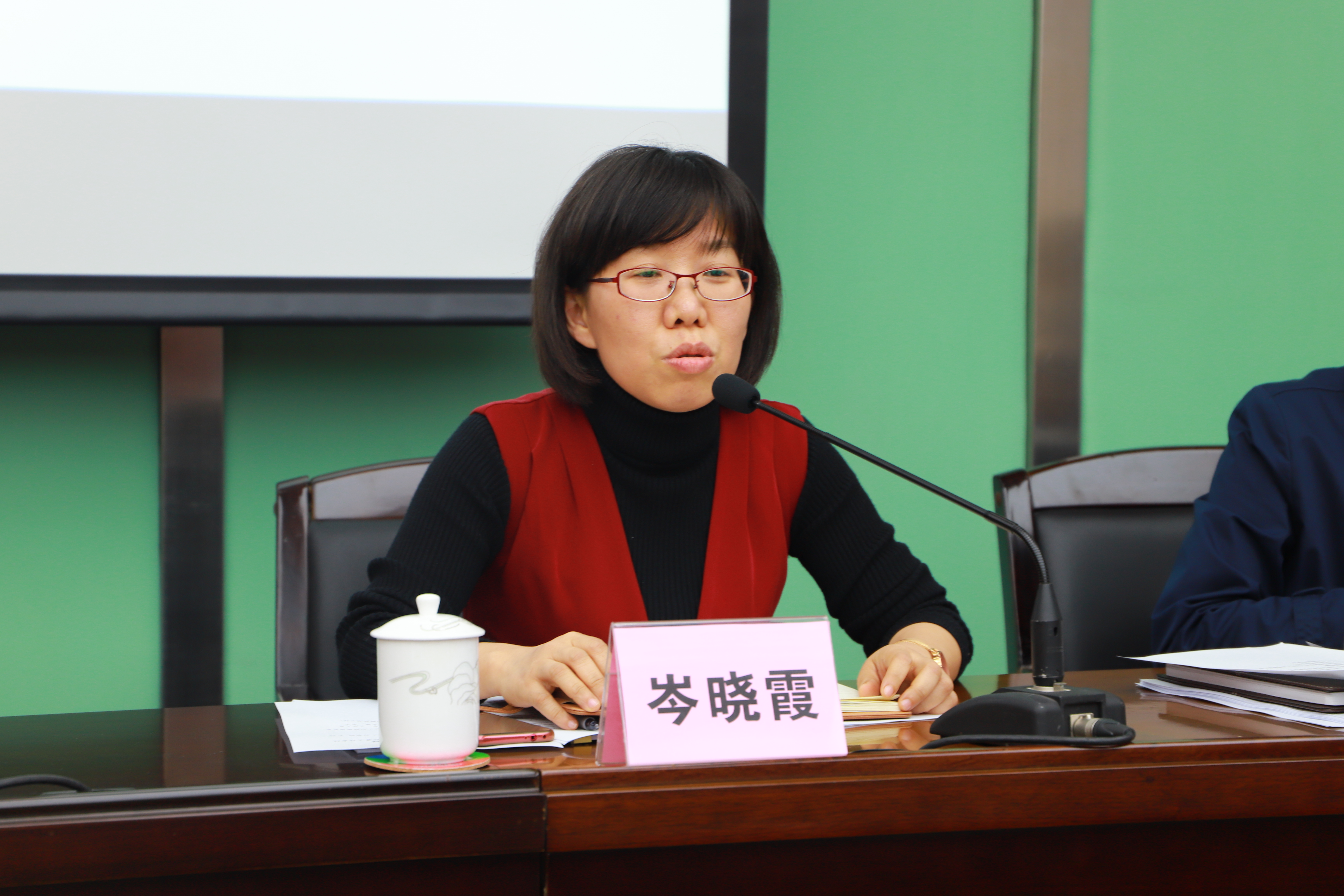 區(qū)婦聯(lián)黨組書記、主席周瑞芳講話.JPG