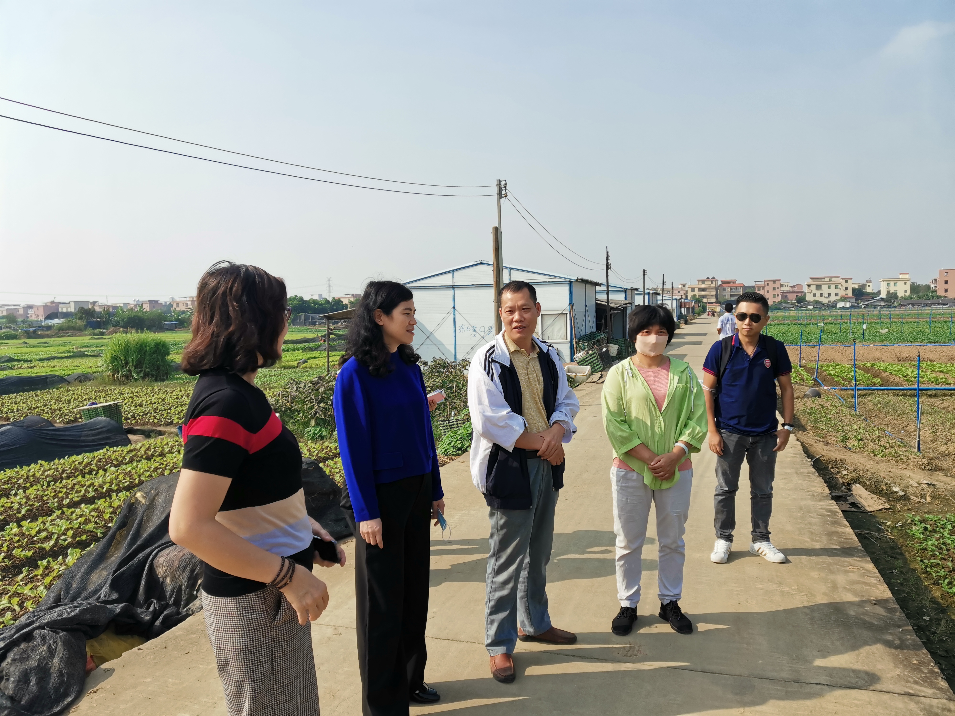 市婦聯(lián)一行參觀石碁鎮(zhèn)禺鋒蔬菜種植農(nóng)民專業(yè)合作社.jpg